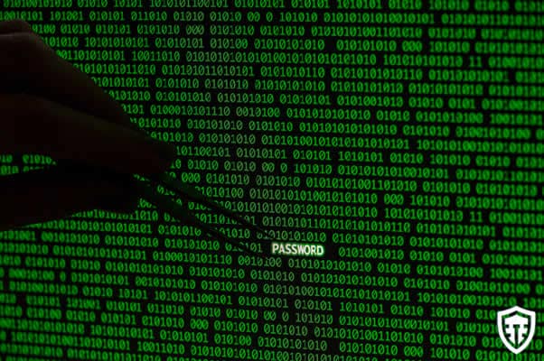 Ciberseguridad en Belice. pentestinglatam.com